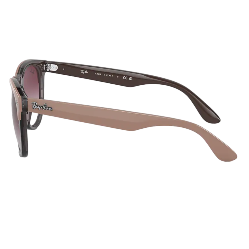 Occhiali da Sole RayBan IRIS RB4471-66338H C.54