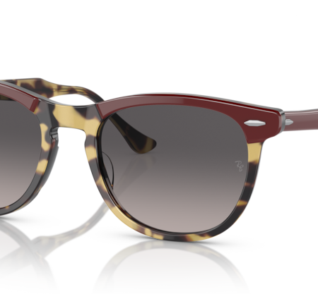 Occhiali da Sole Ray Ban  RB2398-1377M3 Bordeaux on Havana Yellow 56