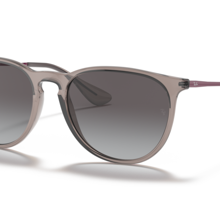 Occhiali da Sole Ray Ban  RB4171-65138G Gray Transparent 54