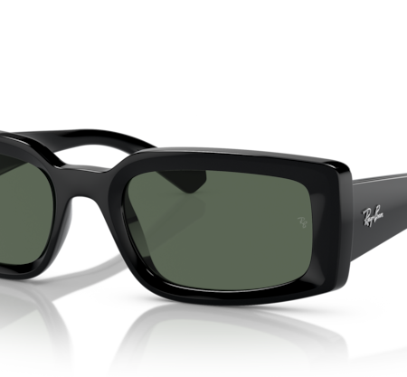 Occhiali da Sole Ray Ban  RB4395-667771 Black 54