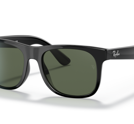 Occhiali da Sole Ray Ban  RJ9069S-100/71 Black 48