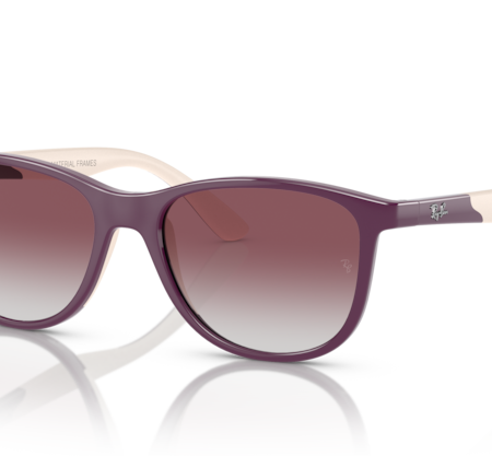 Occhiali da Sole Ray Ban  RJ9077S-71348G Violet on Beige 49