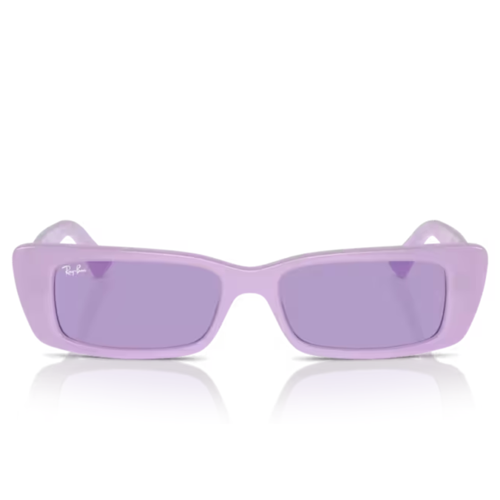 Occhiali da Sole Ray Ban Teru RB4425 67581A Lilla