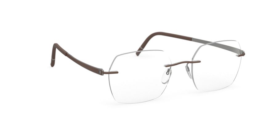 Occhiali Silhouette Eyewear Momentum 5529-HB-6060 Ruthenium / Cohiba Brown