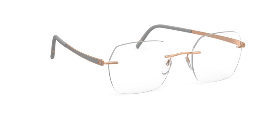 Occhiali Silhouette Eyewear Momentum 5529-HB-6520 Rose Gold / Highland Grey