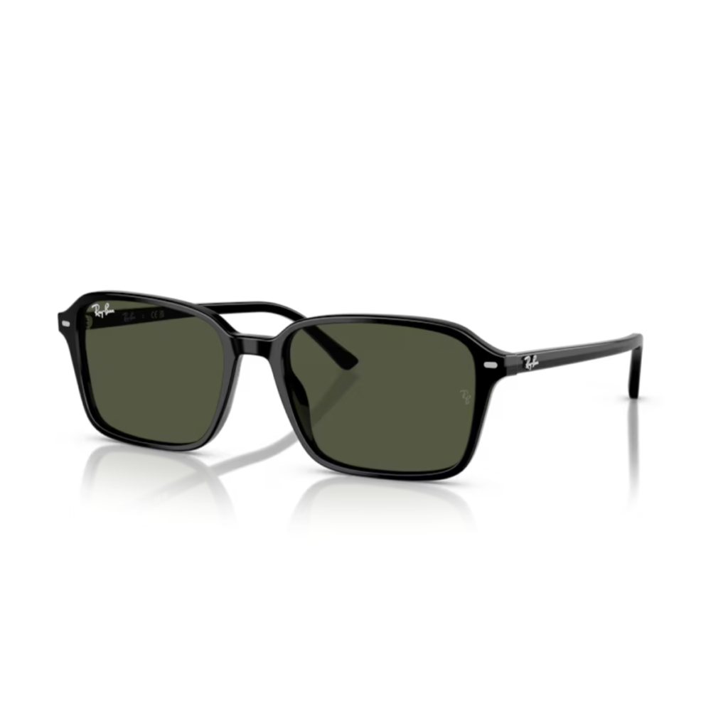 Occhiali da Sole RayBan Raimond RB2231-90131 Black