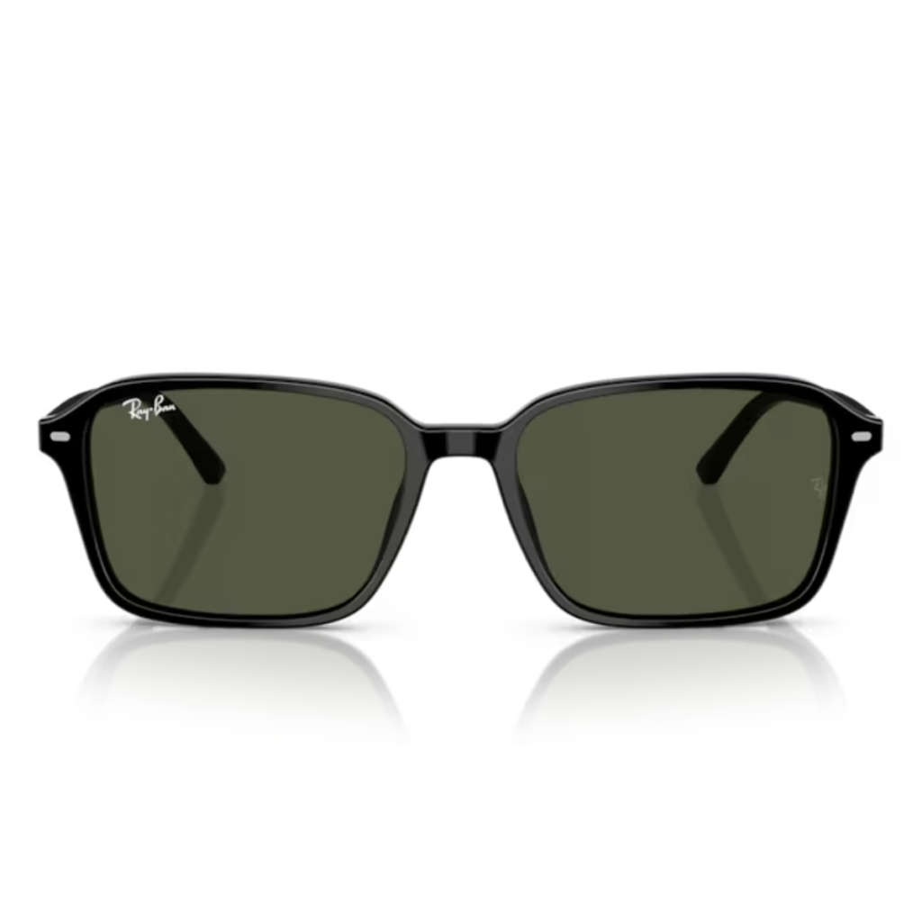 Occhiali da Sole RayBan Raimond RB2231-901/31 Black